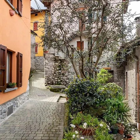 Casa vacanze The Magnolia House Garden Relax Lezzeno